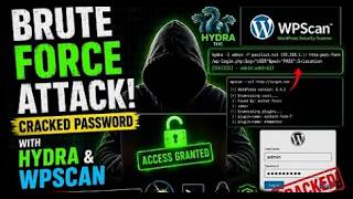 Hydra ile web sitesine girme videosu çekildi istek videosu gelebilir t