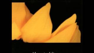 Diary Of Dreams - Reality Of Mine