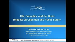 Dr. Thomas Marcotte l HIV, Cannabis, and the Brain: Impacts on cognition and public safety l Webinar