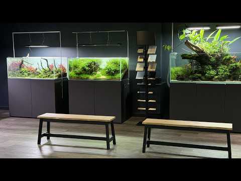 Aktualizacja galerii Aquarium Gardens