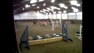 Rocky Pendragon: Gracelands Sun 23rd January 2011 BS 80cm Open