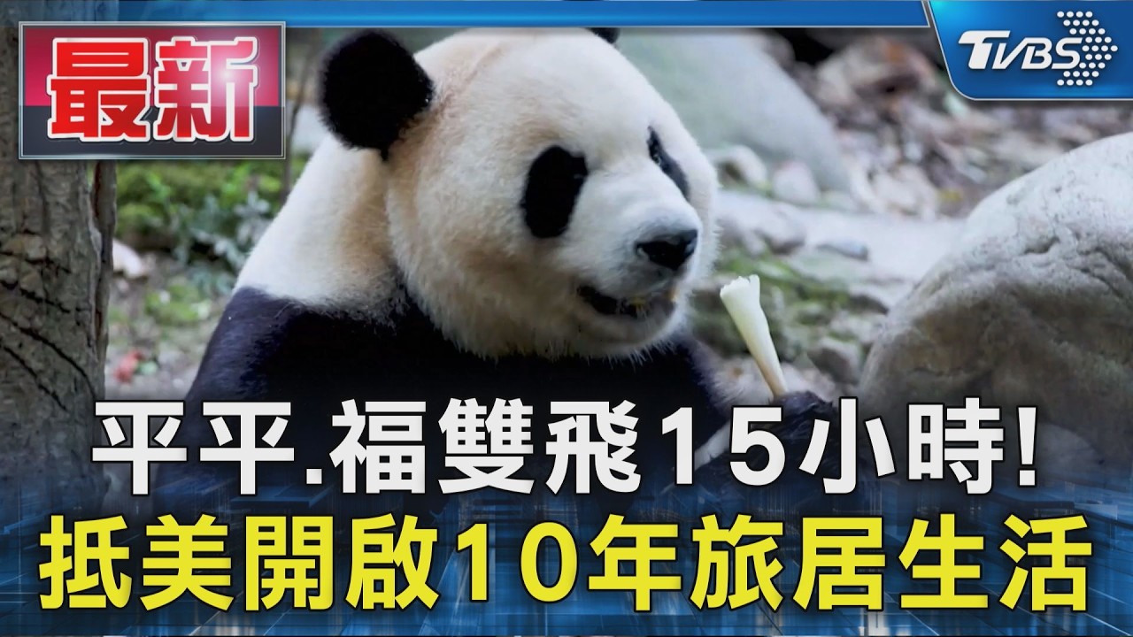 平平.福雙飛15小時! 抵美開啟10年旅居生活 最快1月後見客｜TVBS新聞 @TVBSNEWS01