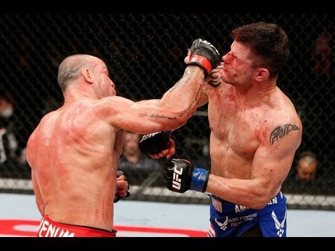 Wanderlei Silva vs Brian Stann