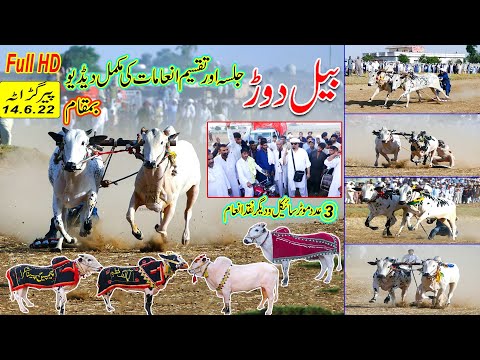 Bull Race Shah Bagh, Kallar Syden 14/6/2022 |Full Video |Bull Race 2022 ||Bull Race in Pakistan
