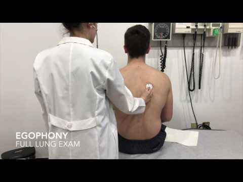 Pulmonary Exam - Egophony