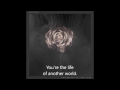 Editors - Sugar (lyrics)