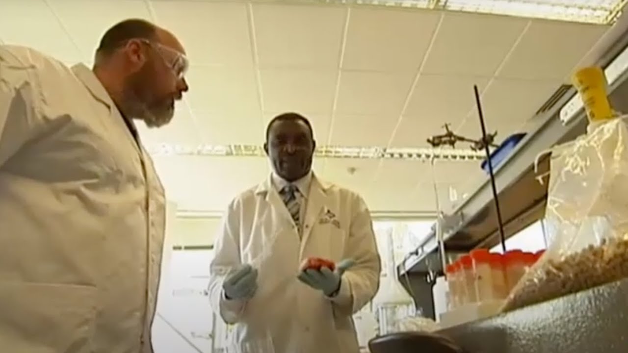 O gado Speckle Park é relativamente novo na Austrália, mas com algumas qualidades únicas, a raça está movimentando de forma muito positiva a indústria da car…