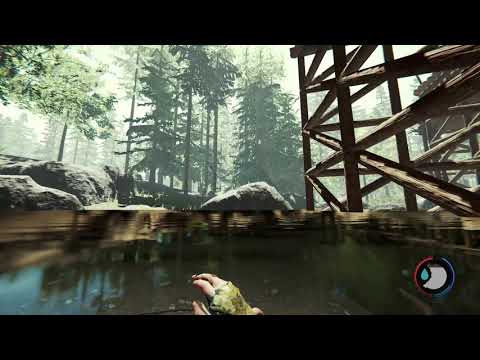 THE FOREST SAFEST BASE WITHOUT CANNIBALS SAVE FILE DOWNLOAD (PC)