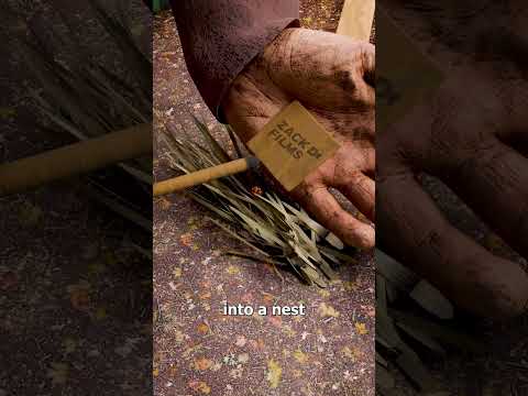 How To Start A Fire With Two Sticks 🤔