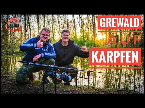 GREWALD am Fluss auf Karpfen: Eine Nacht angeln mit Pellets und Boilies