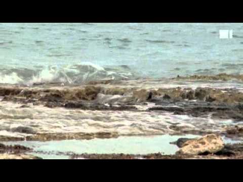 SF Spezial - Fernweh 2010: Kuba (Folge 7)