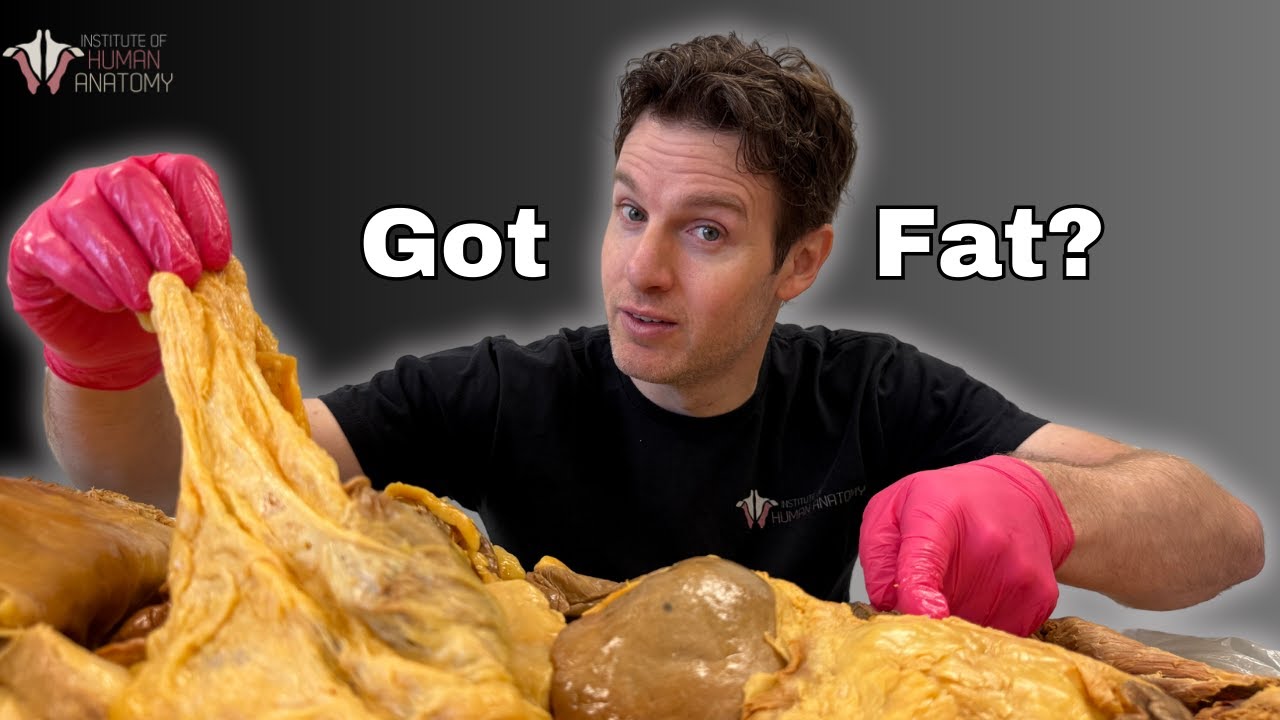 Fat: The Good, the Bad, & the Truth About Losing It