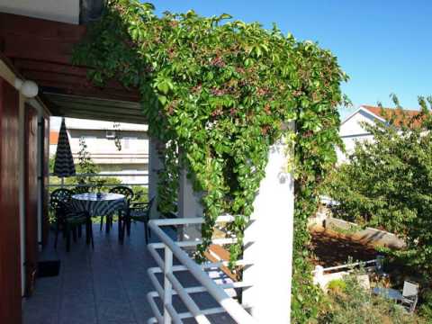 Apartment Kukljica 1 -  Kukljica - Croatia