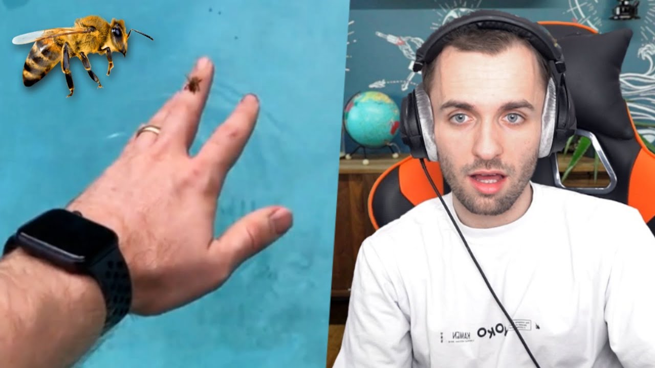 je suis incapable de faire ça thumbnail