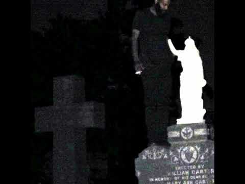 black google/world of dogs (death grips mashup #2)