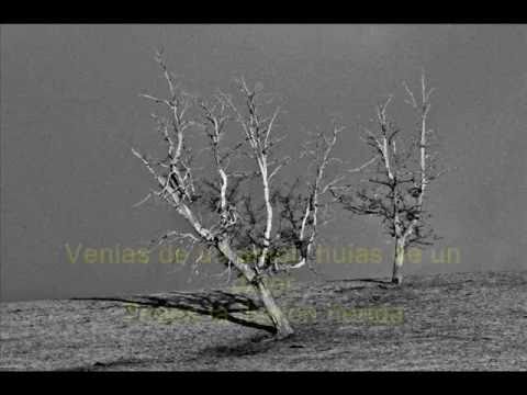 Cenizas - Los Tucu Tucu