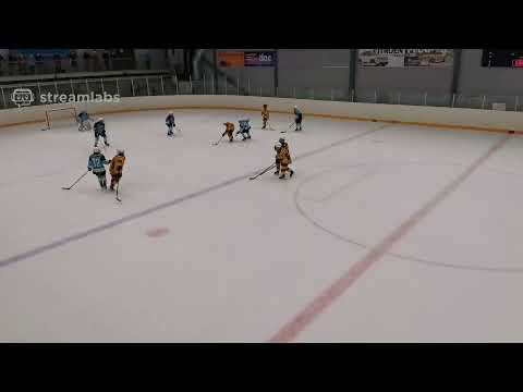 20201031 Pelicans - Ilves U13 Detroit