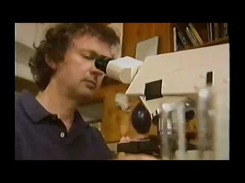 Rupert Sheldrake, The Most Heretical Scientist of Our Time | BBC Special (Audio Remix)