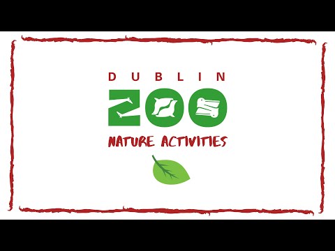 Dublin Zoo Birdwatching