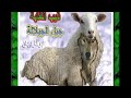Jil Jilala ذيب الغابة جيل الجيلالة
