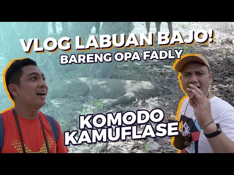 Liburan ke LABUHAN BAJO bersama FADLY & SECRET TICKET HUNTER
