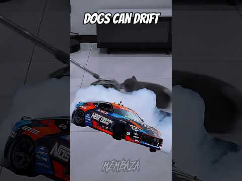 When dogs can DRIFT 🤯 #dog #drift #edit #
