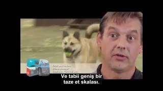 Acana&Orijen Nasıl Üretiliyor?