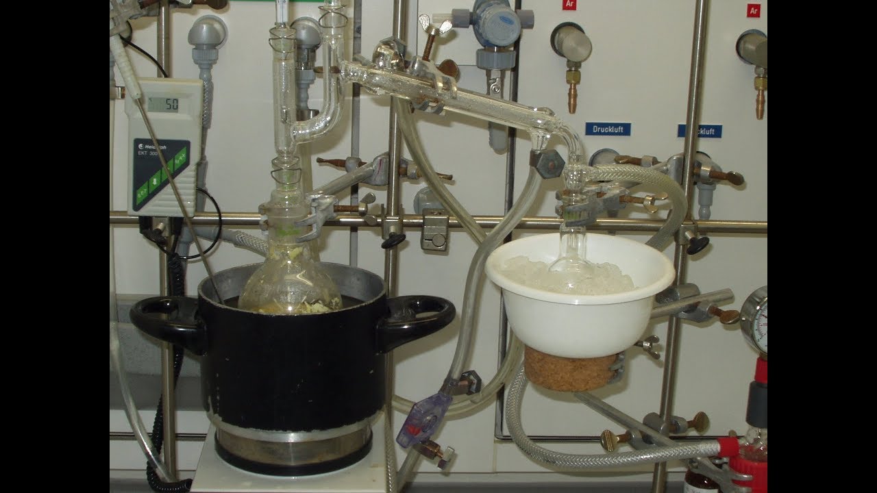 Bioactive compounds: plant derived