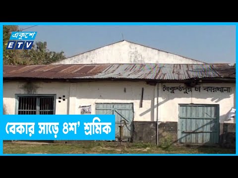 ২শ’ বছরের পুরোনো চা বাগান বন্ধ