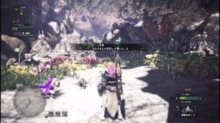 【MHW】『オトモ道具－はげましの楽器入手方法！』