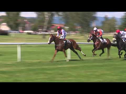 KV, 26. 7. 2020, 4. dostih - Cena primátorky města KARLOVY VARY