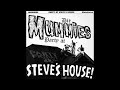 The Mummies Party At Steve S House 1994 Full Album Vinyl