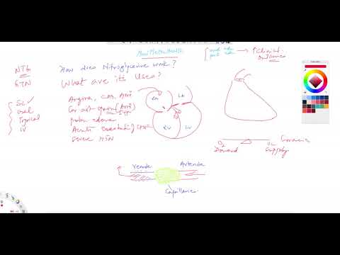 Munisthealth 224 How Does Nitroglycerine Work