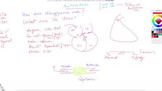 ^MuniSTHealth - #224 How Does Nitroglycerine Work