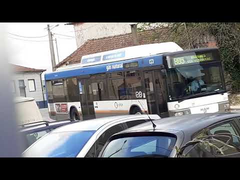 STCP linha 805 veiculo 3114