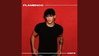 Kadr z teledysku Flamenco tekst piosenki Aritz Aren