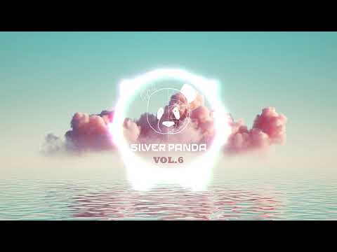 Silver Panda Melodic Sessions - Vol. 6