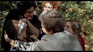 The Last House on the Left (1972) Video