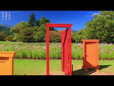intérieur-blanc-maison-architecte-Anvers-Sculp-It