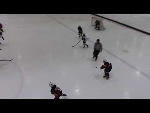 F1 HC Vipers Black 4  6 F1 Narva PSK 09