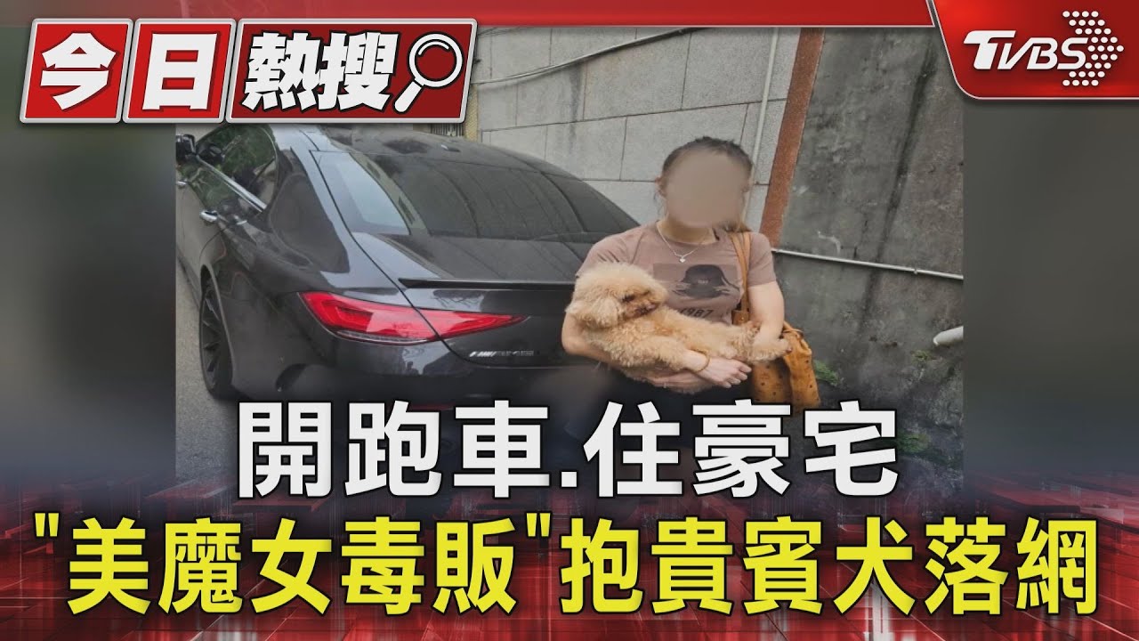 開跑車、住豪宅 「美魔女毒販」抱貴賓犬落網