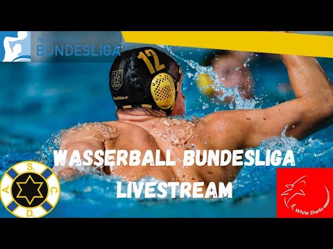 LIVESTREAM: Wasserball Bundesliga - ASC Duisburg vs. White Sharks