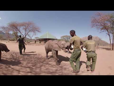 Reteti Elephant Sanctuary 360 VR
