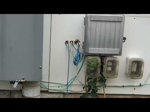 Yellow Jackets Swarm Around Utility Wires in...