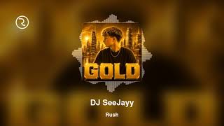 Download lagu DJ SeeJayy - Rush mp3