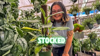 So Many Cool Plants at OC’s Largest Houseplant Warehouse