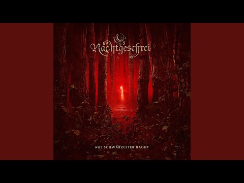 Spieler - Nachtgeschrei