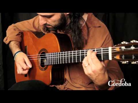 Cordoba Guitars - Fusion Orchestra CE Cedar