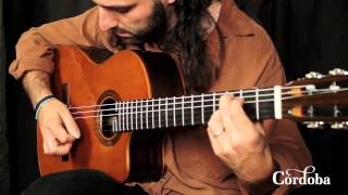 Cordoba Guitars - Fusion Orchestra CE Cedar