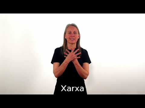 Xarxa - LSC